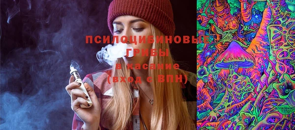 стаф Алексеевка