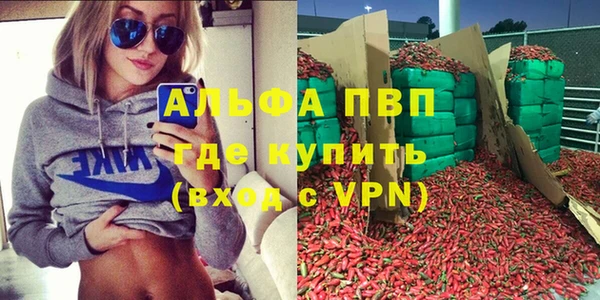 сатива Алзамай