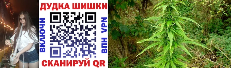 Марихуана AK-47 Ноябрьск